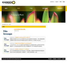 康迪醫械攜手專業網站定制設計公司，打造外科醫療器械行業數字化新標桿