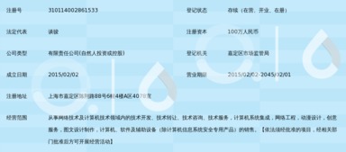 上海游英網絡科技有限公司 立足上海，深耕數字技術服務